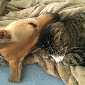 Meet your Posher, Emma